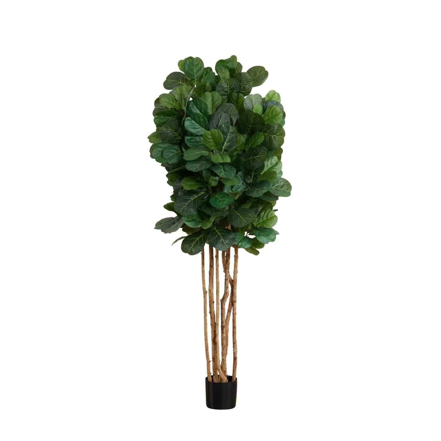 6 ft artificial fiddle leaf fig tree with green leaves on multiple brown trunks in a black pot on Tampa Home & Garden Store