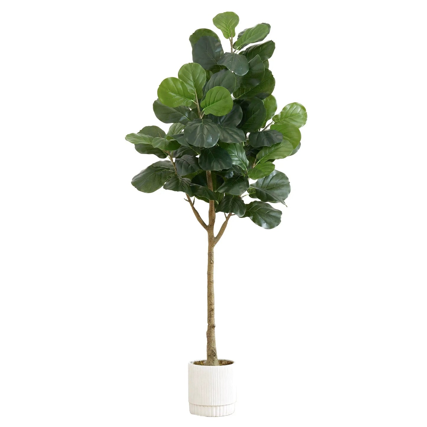 Fiddle Leaf Fig Tree in White Planter artificial Nearly Natural with lush dark green leaves on Tampa Home & Garden Store