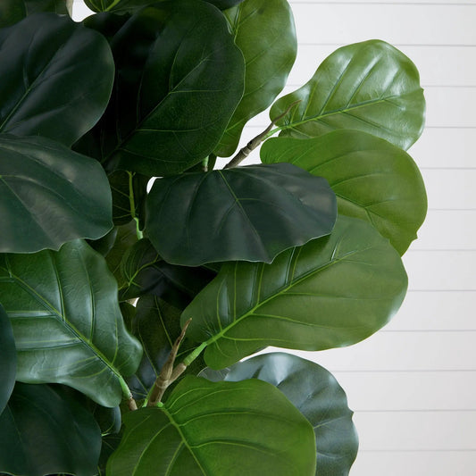 Fiddle Leaf Fig Tree in White Planter, glossy green leaves, Nearly Natural on Tampa Home & Garden Store