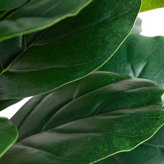 Artificial fiddle leaf tree close-up of dark green leaves with light green veins on Tampa Home & Garden Store