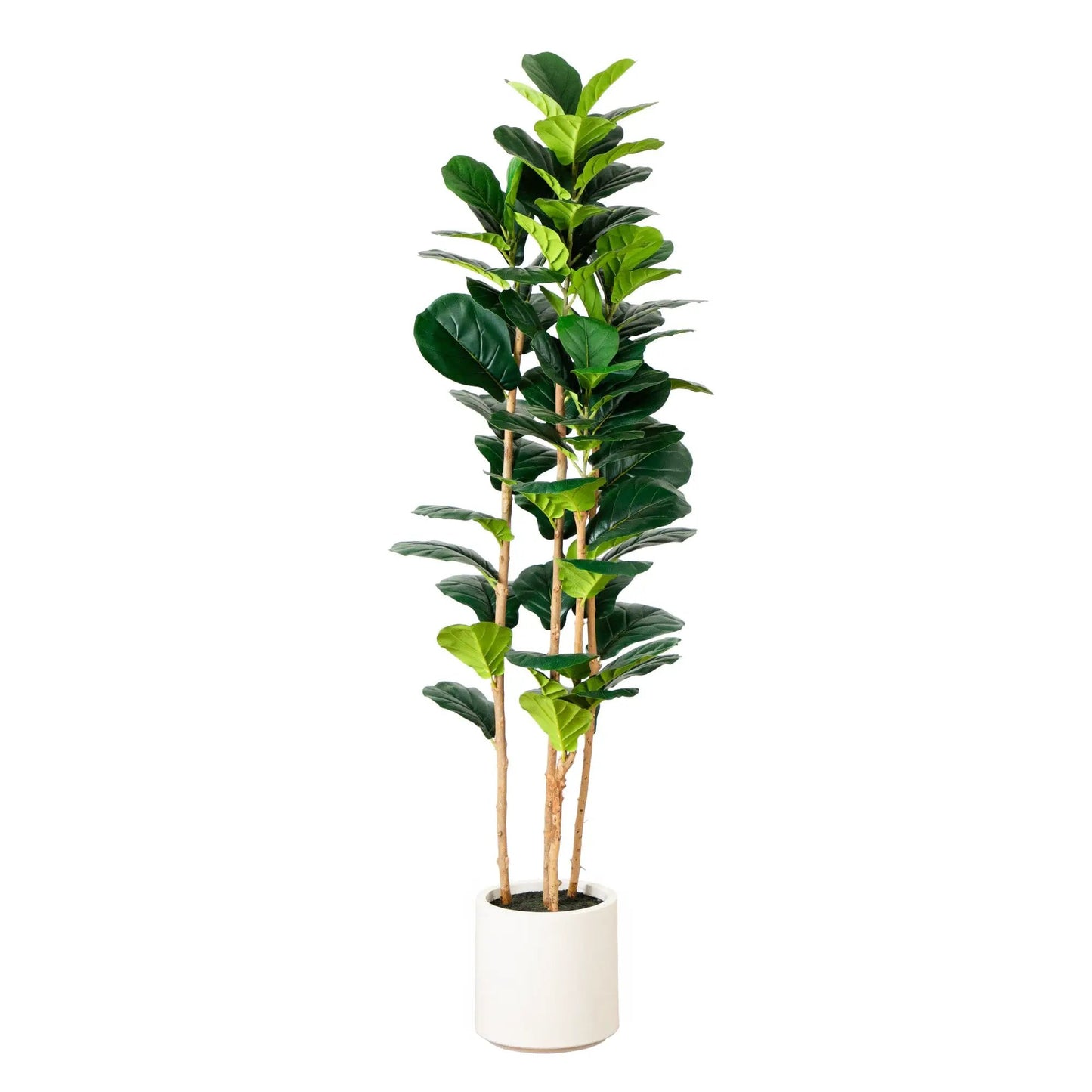 Artificial Fiddle Leaf Tree Nearly Natural in white planter with dark-green leaves on Tampa Home & Garden Store