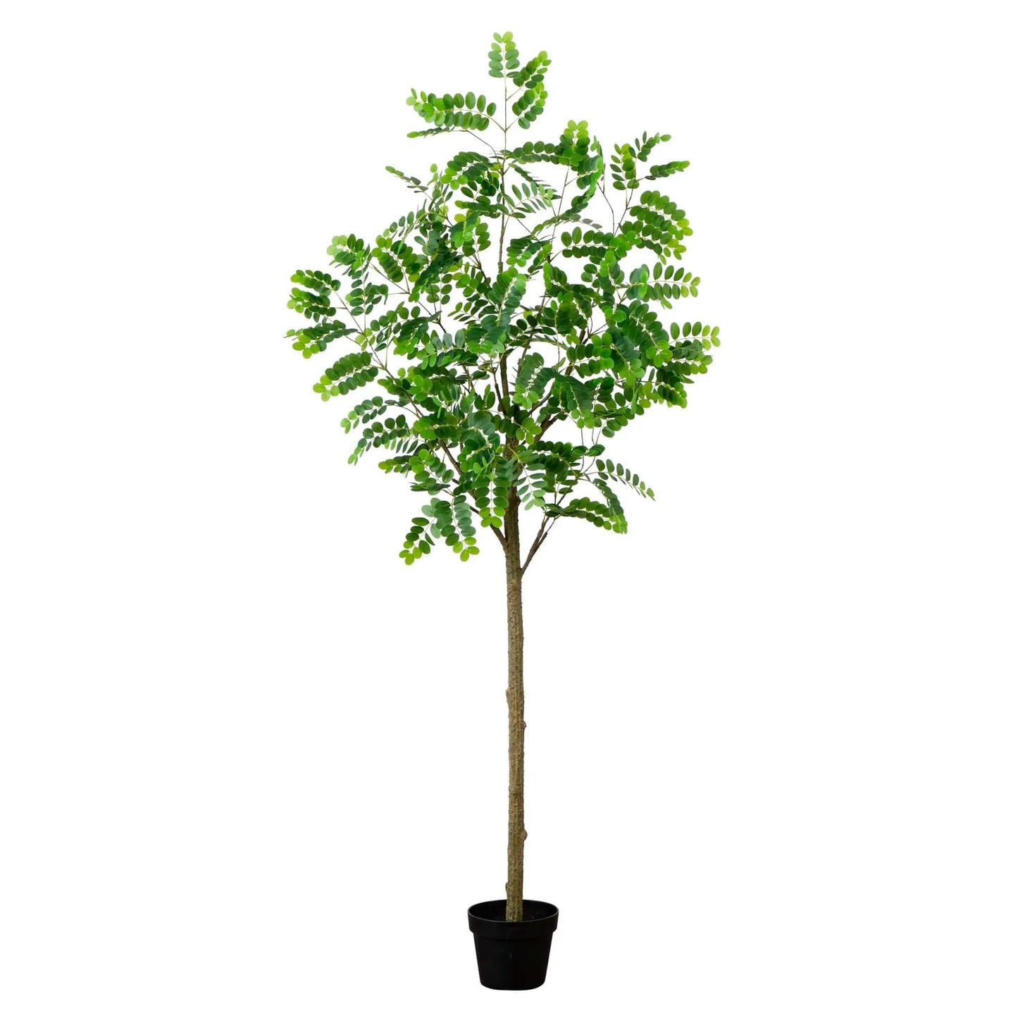 6 ft Greco Citrus Tree with Real Touch Leaves in black pot artificial by Nearly Natural on Tampa Home & Garden Store