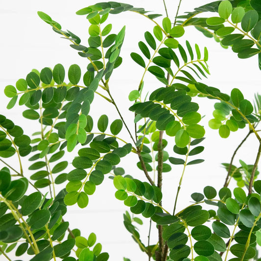 6 ft Greco Citrus Tree with Real Touch Leaves Nearly Natural artificial tree with green foliage on Tampa Home & Garden Store