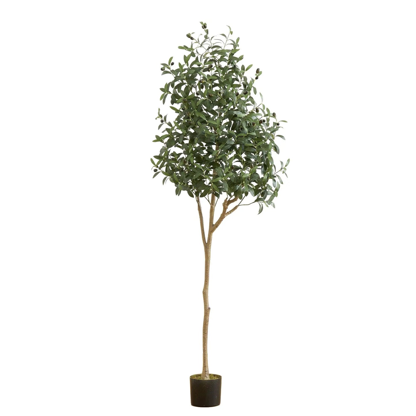 Artificial olive tree for indoor decor with dense green leaves and olives in a black pot on Tampa Home & Garden Store