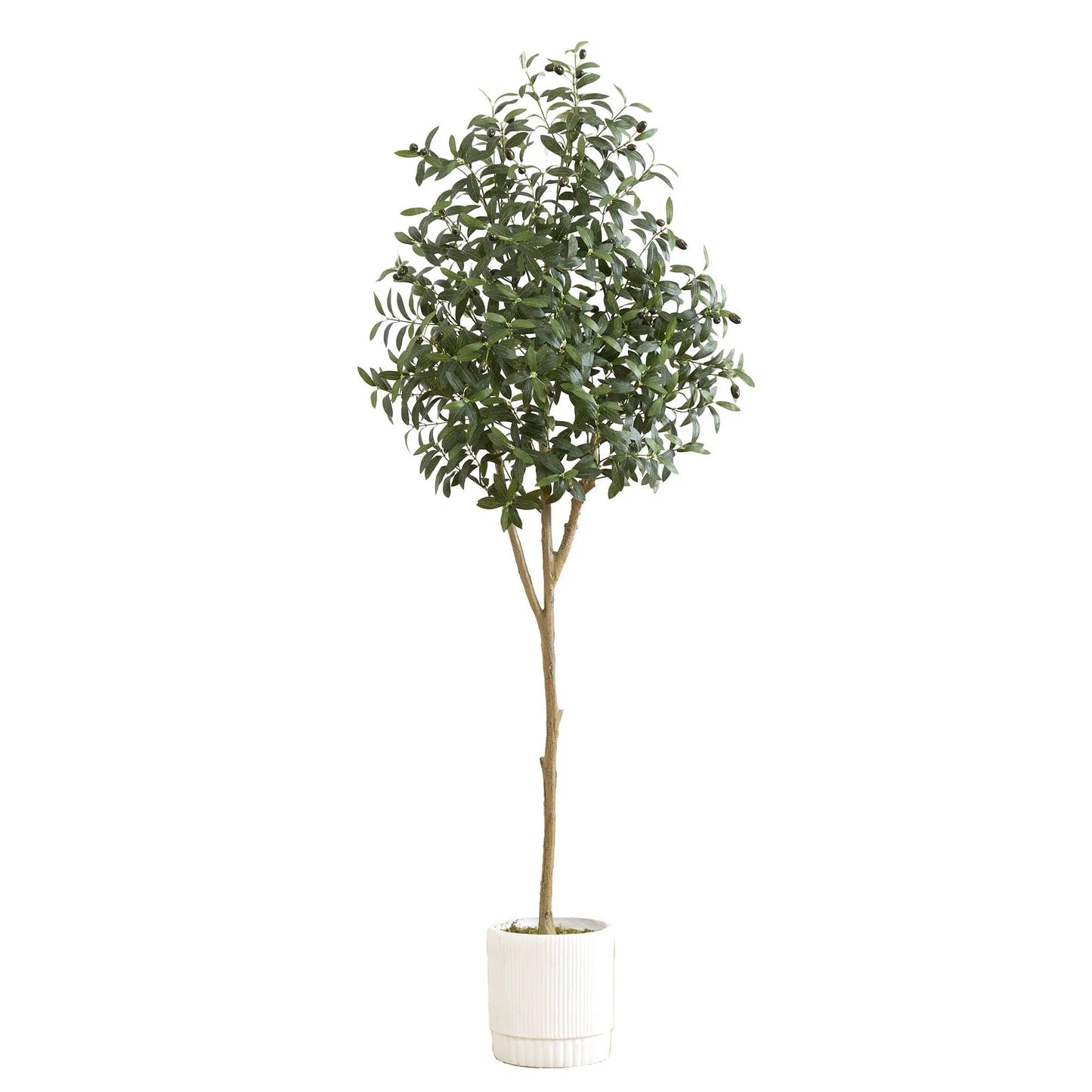 6 ft artificial olive tree in white ribbed planter by Nearly Natural on Tampa Home & Garden Store