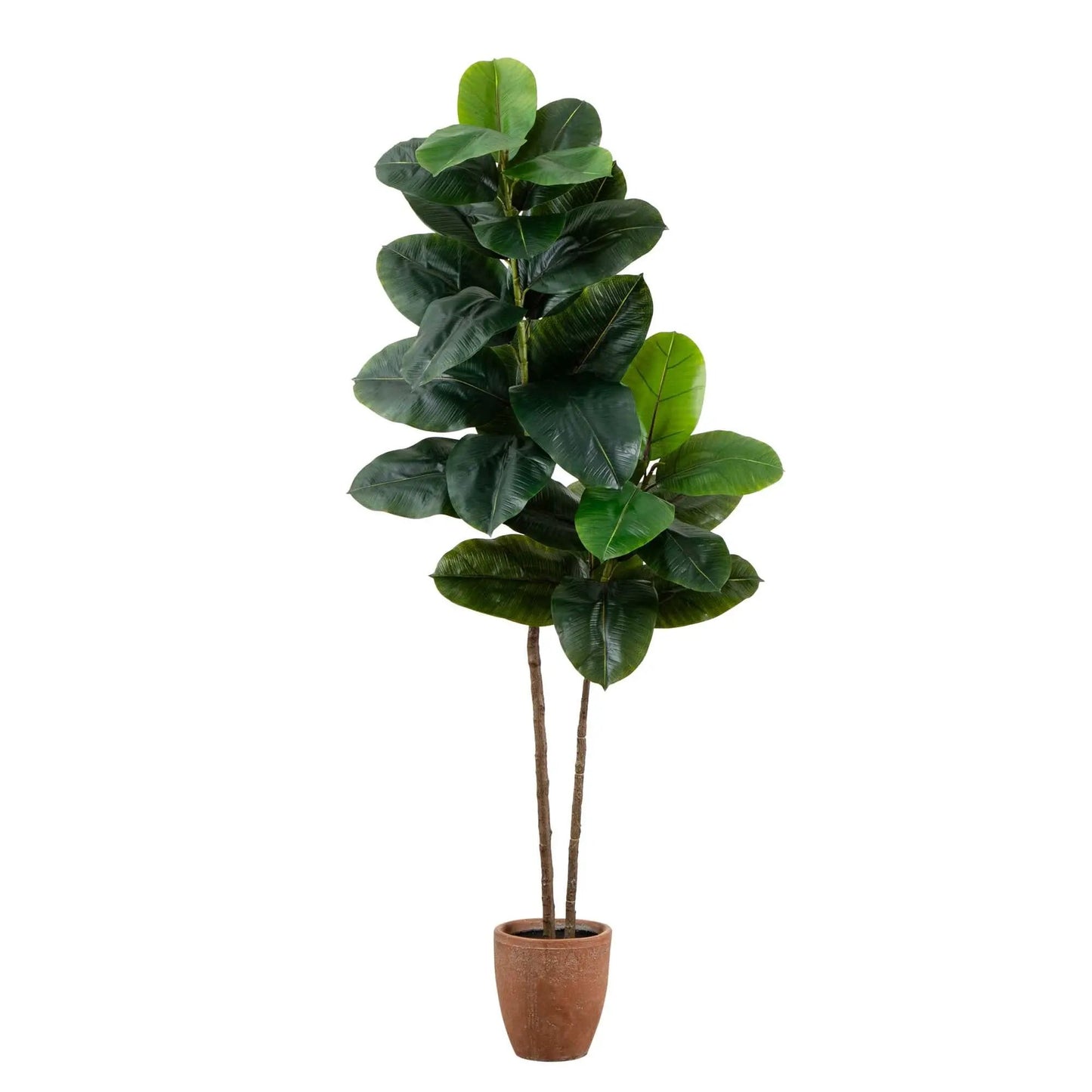 Artificial rubber tree in decorative terracotta planter with glossy dark green leaves on Tampa Home & Garden Store
