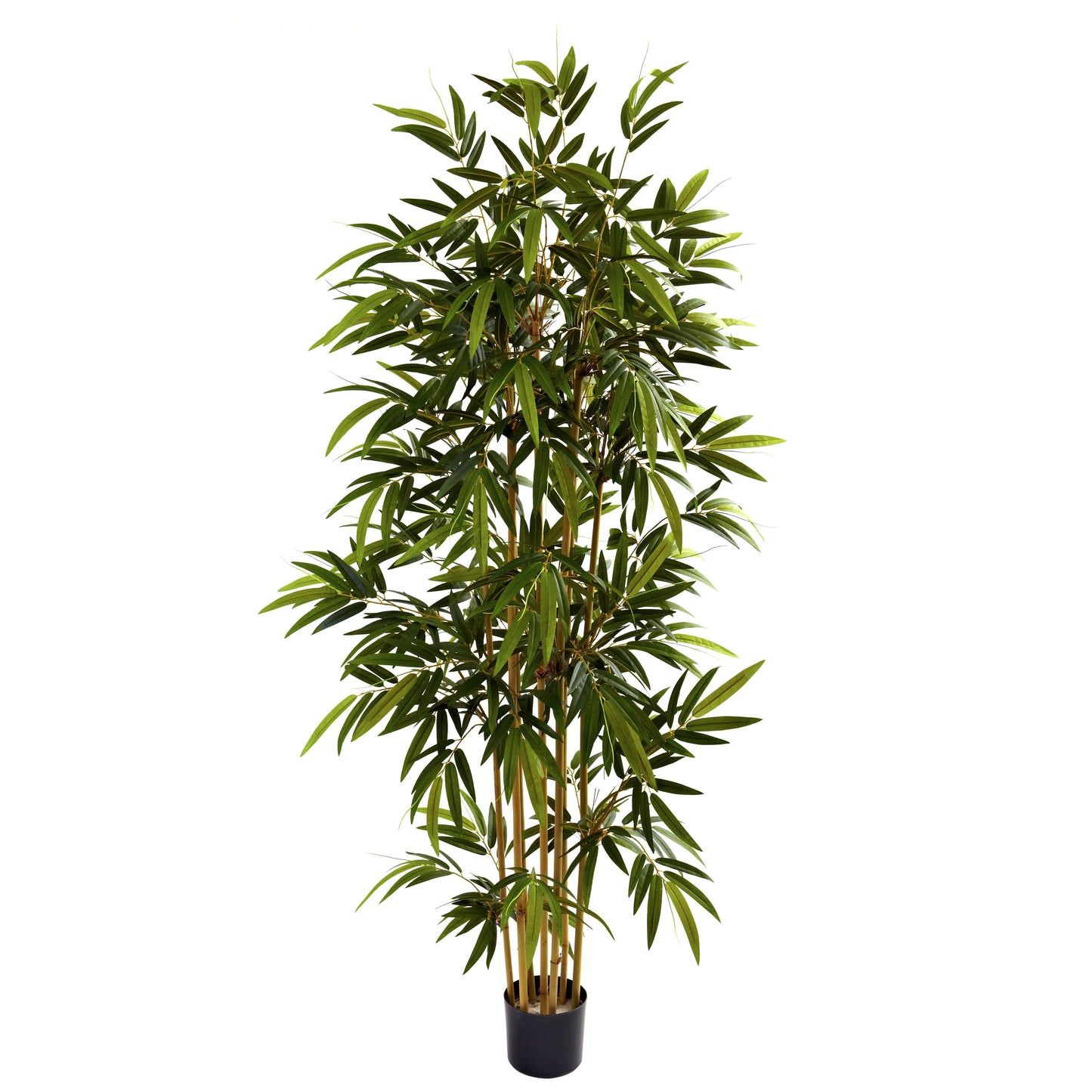 Bambou de 1,80 m