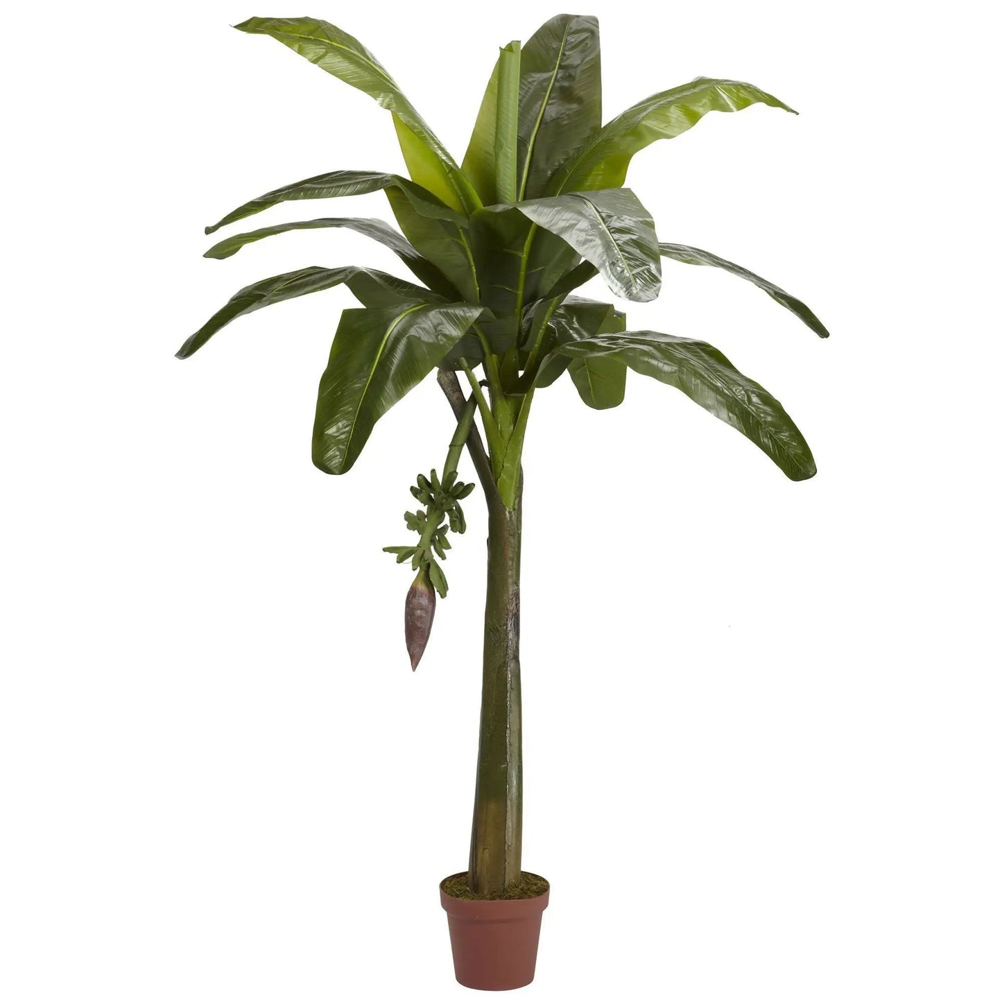6 ft Banana Silk Tree Real Touch decor Nearly Natural with lush green leaves in a terracotta pot on Tampa Home & Garden Store