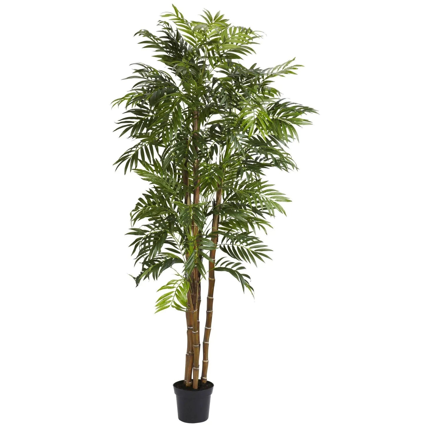 Tall Bella Palm Silk Tree by Nearly Natural in black pot with multiple trunks and lush fronds on Tampa Home & Garden Store