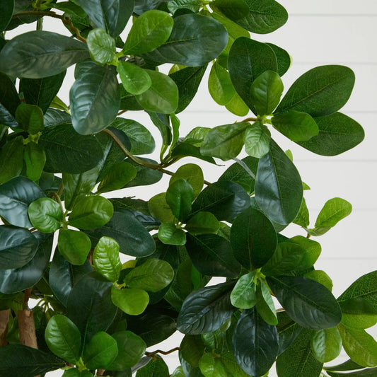 Black Olive Silk Tree, 6 ft tall with glossy realistic leaves by Nearly Natural on Tampa Home & Garden Store