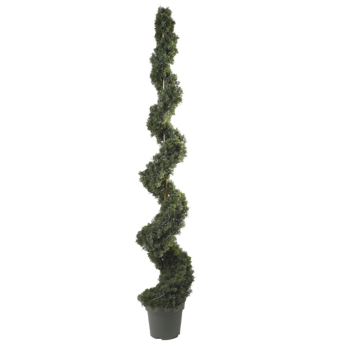 6' Cedar Spiral Silk Tree by Nearly Natural in a gray planter for indoor outdoor use on Tampa Home & Garden Store