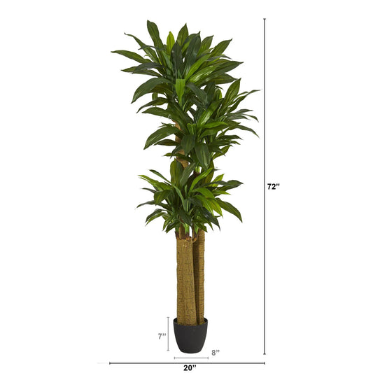 Six Foot Corn Stalk Dracaena Real Touch artificial plant Nearly Natural in black pot on Tampa Home & Garden Store