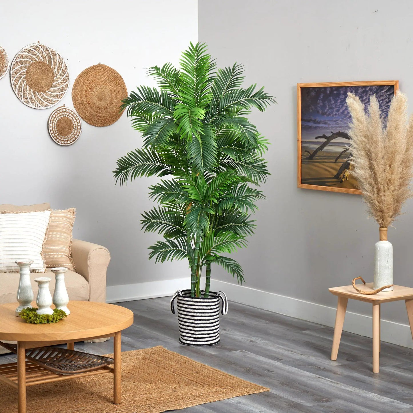Curvy Parlor Palm Tree in Black and White Planter with striped basket and lush green fronds on Tampa Home & Garden Store