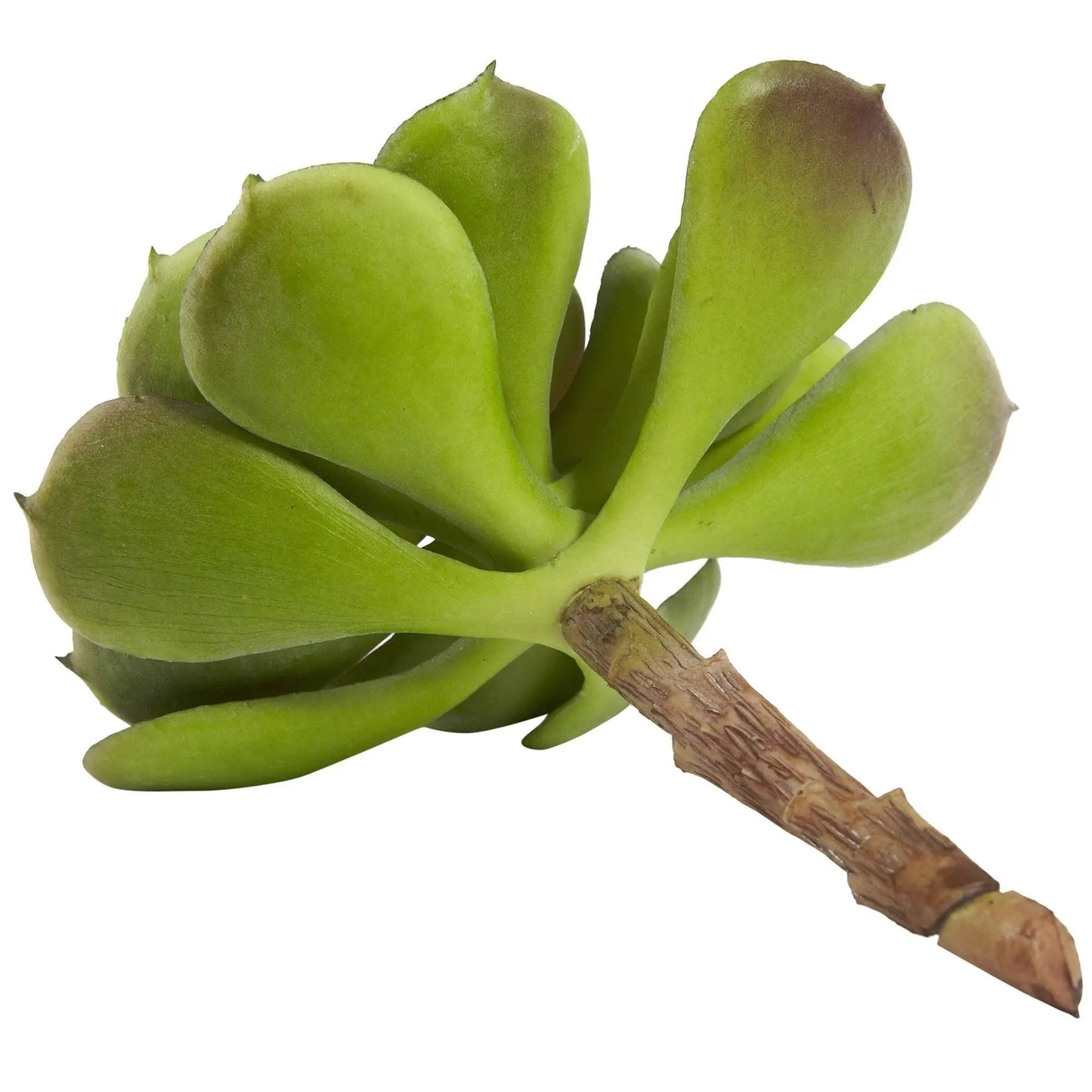 6” Artificial Echeveria Succulent (Set of 12) - Tampa Home & Garden Store