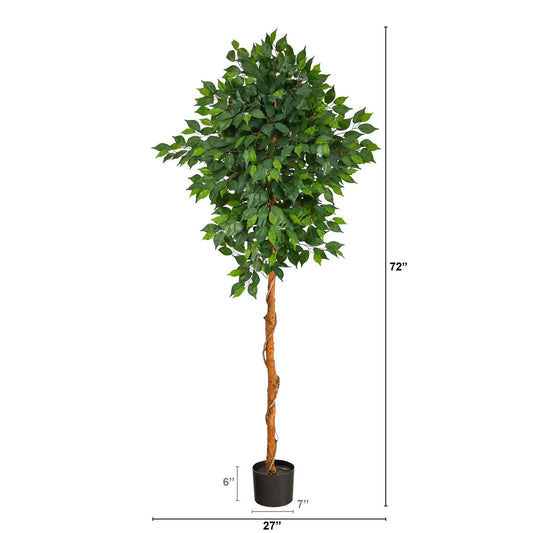 6 ft artificial ficus tree with black planter and lush green leaves on Tampa Home & Garden Store