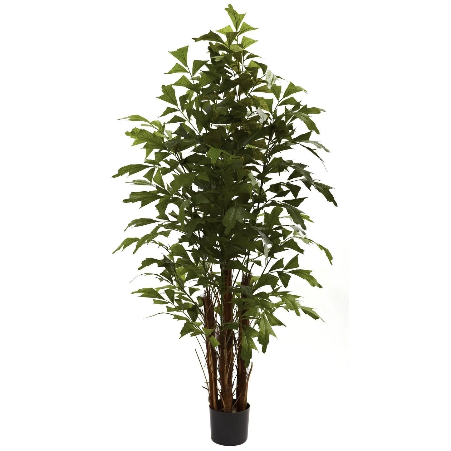 6 ft Fishtail Palm Tree artificial plant by Nearly Natural in a black planter for gardens on Tampa Home & Garden Store