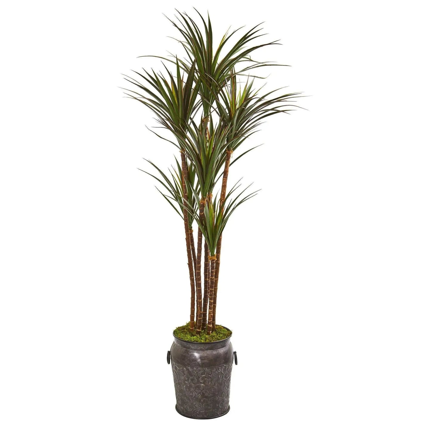 6 ft Yucca artificial tree with multiple trunks Nearly Natural in decorative planter moss on Tampa Home & Garden Store