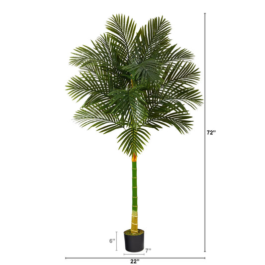 Golden Cane Artificial Palm Tree 6 ft tall with green fronds in a black pot on Tampa Home & Garden Store