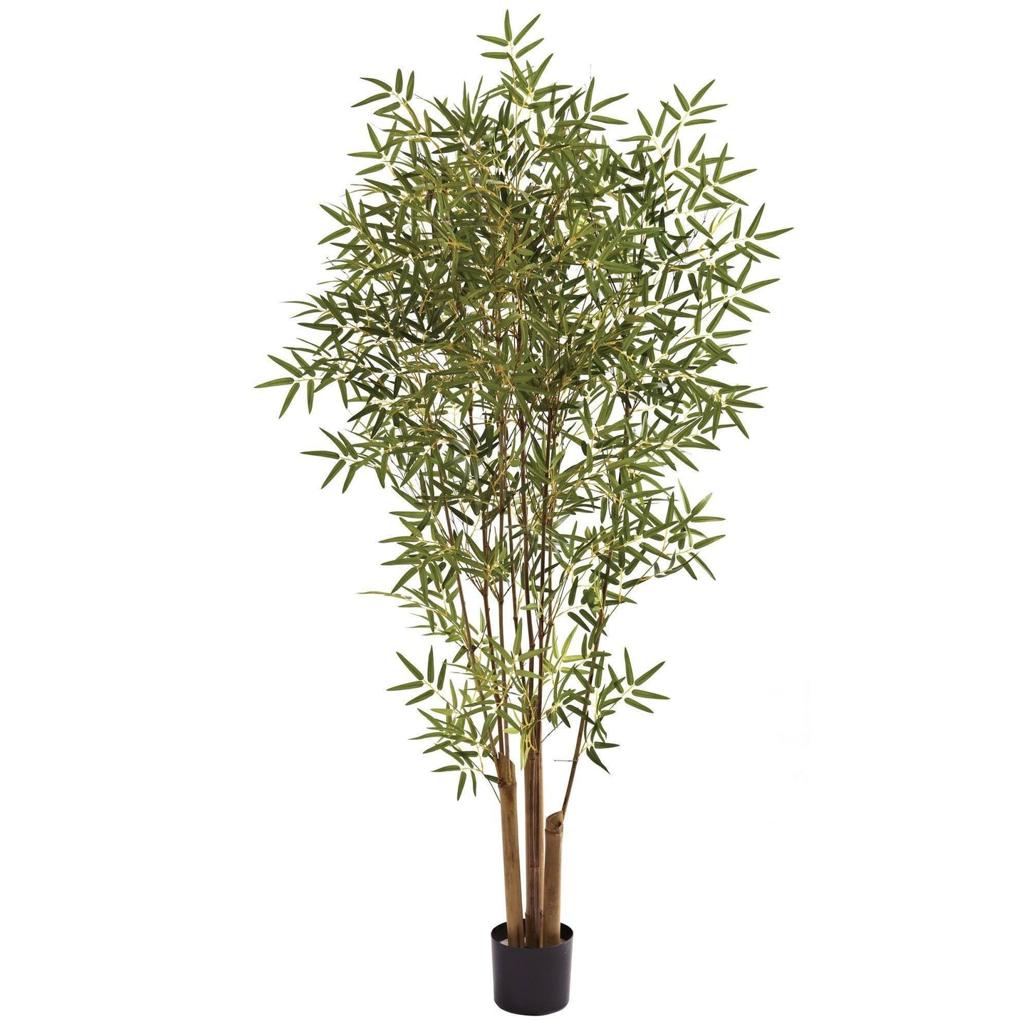 6 ft Japanese Bamboo Tree, Nearly Natural, slender stems and narrow green leaves in black pot on Tampa Home & Garden Store
