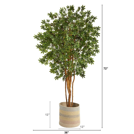 6 ft Japanese Maple artificial tree in a natural woven planter Nearly Natural on Tampa Home & Garden Store