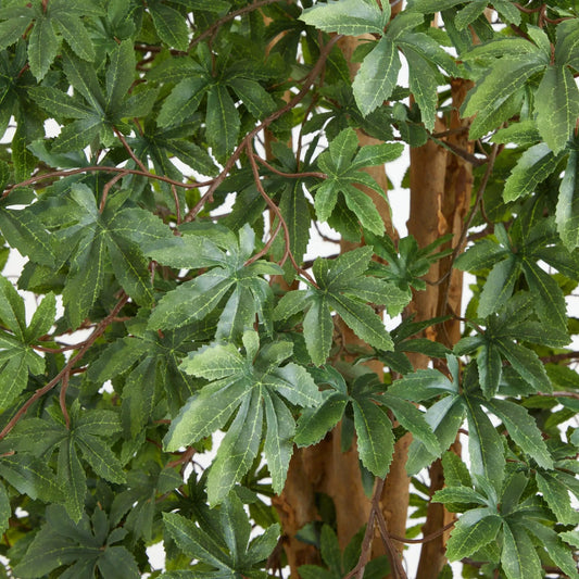 6 ft Japanese Maple Silk Tree lifelike green maple leaves for indoor decor Nearly Natural on Tampa Home & Garden Store
