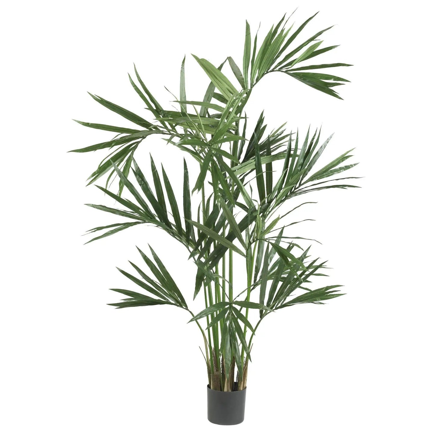 6 ft Kentia Palm Silk Tree by Nearly Natural in a dark gray planter for indoor decor on Tampa Home & Garden Store