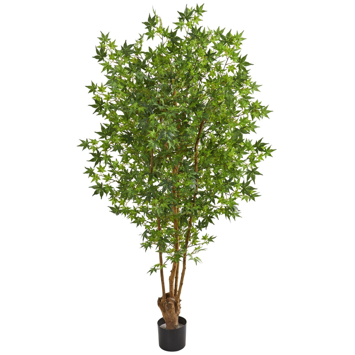 6-ft Maple artificial tree by Nearly Natural with lush green maple leaves in a black planter on Tampa Home & Garden Store