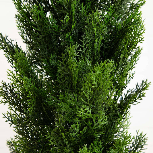 6' Mini Cedar Pine Tree (Indoor/Outdoor) - Tampa Home & Garden Store