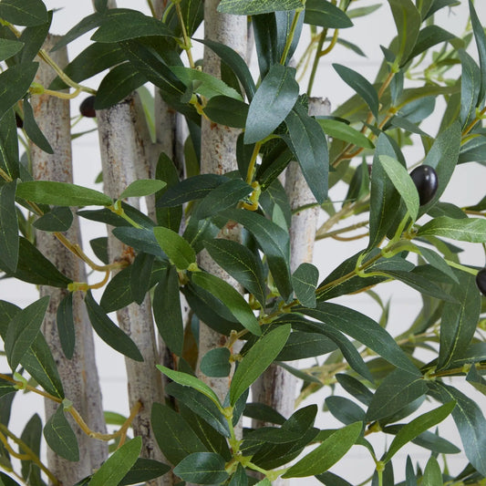 6 ft olive tree in white tower planter with dark green leaves and gray stems on Tampa Home & Garden Store