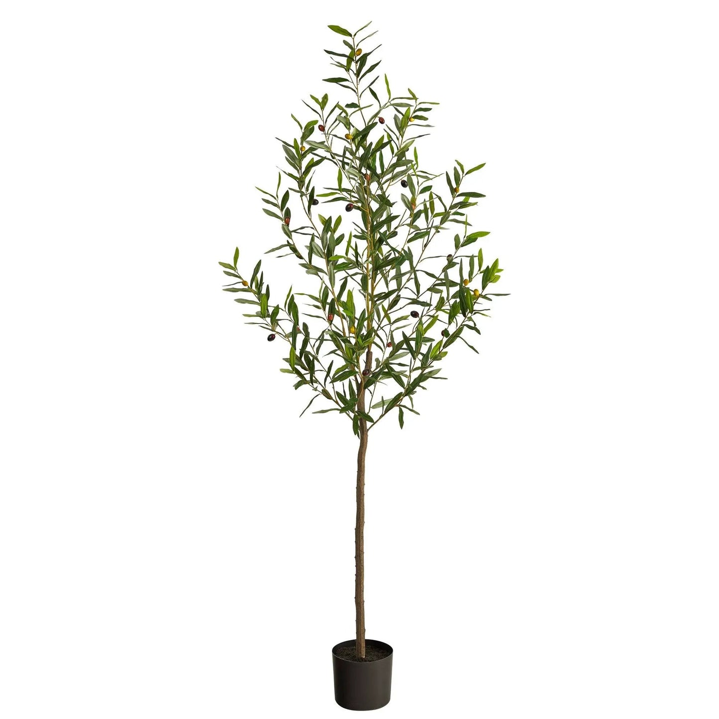 Olive Artificial Tree, 6 ft tall, Nearly Natural, green leaves with olives in a black pot on Tampa Home & Garden Store