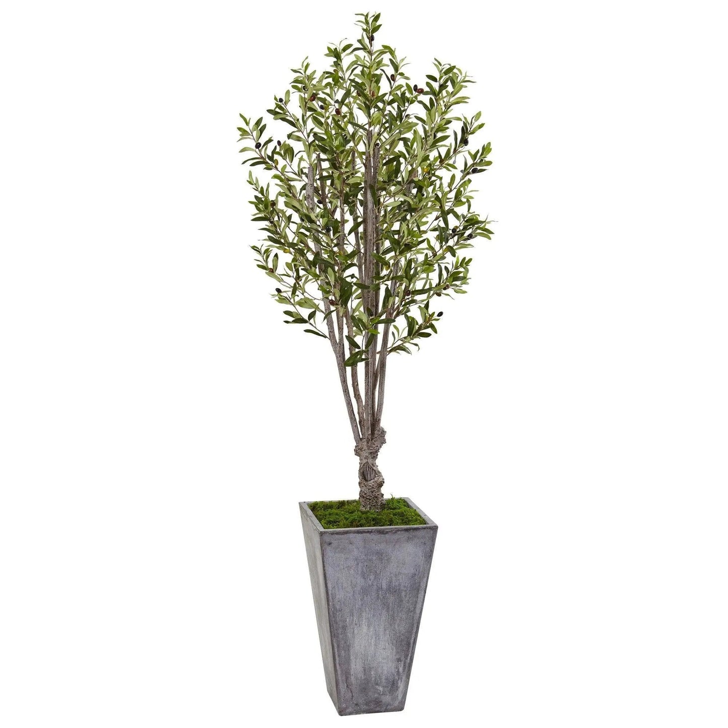 Olive Tree in Stone Planter, artificial with green leaves, 6 ft tall, Nearly Natural on Tampa Home & Garden Store