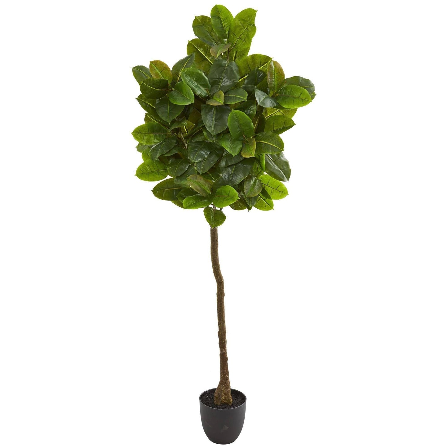 6ft Rubber Leaf Artificial Tree Real Touch by Nearly Natural in dark pot on Tampa Home & Garden Store