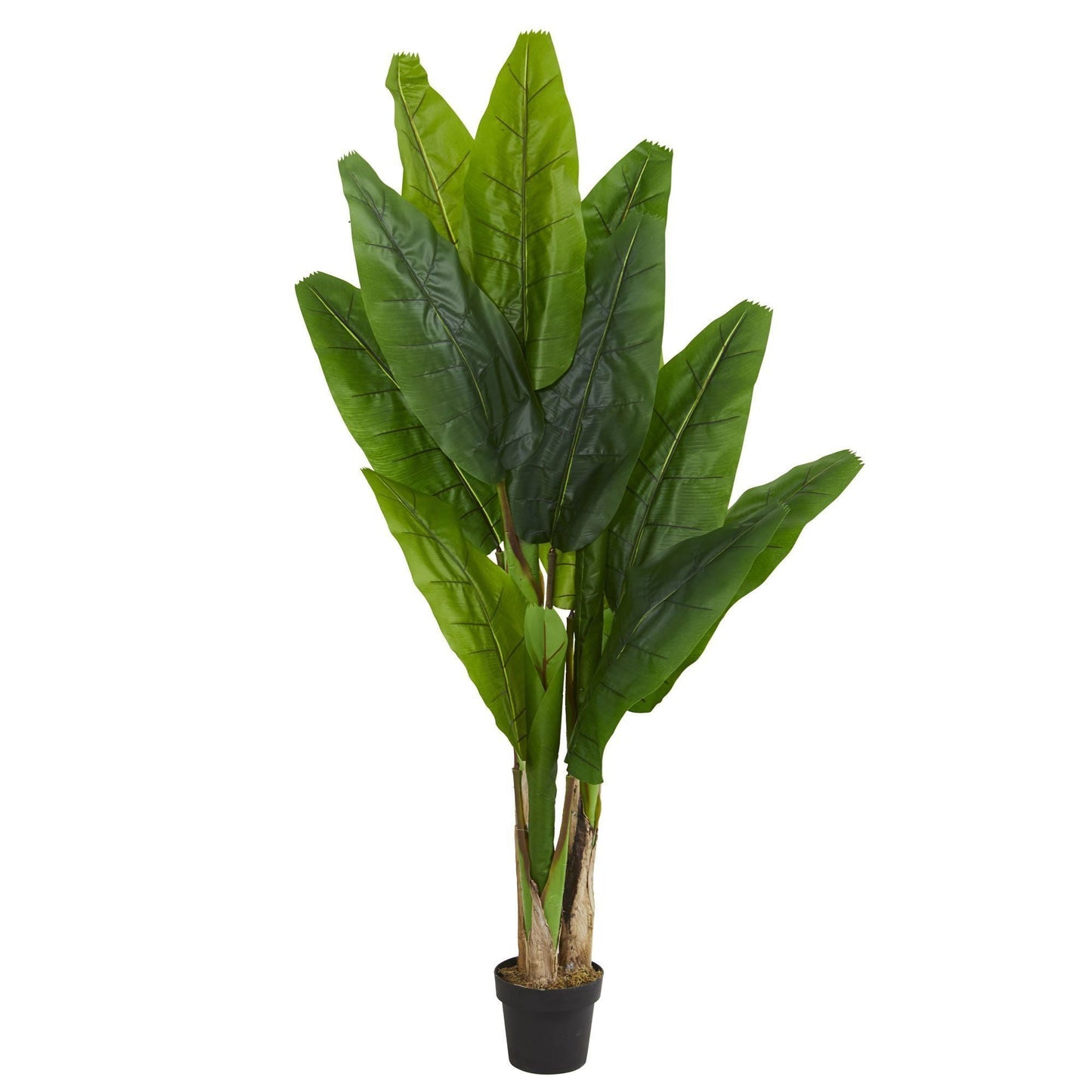 6’ Triple Stalk Banana Artificial Tree by Nearly Natural with lush green leaves in a black pot on Tampa Home & Garden Store