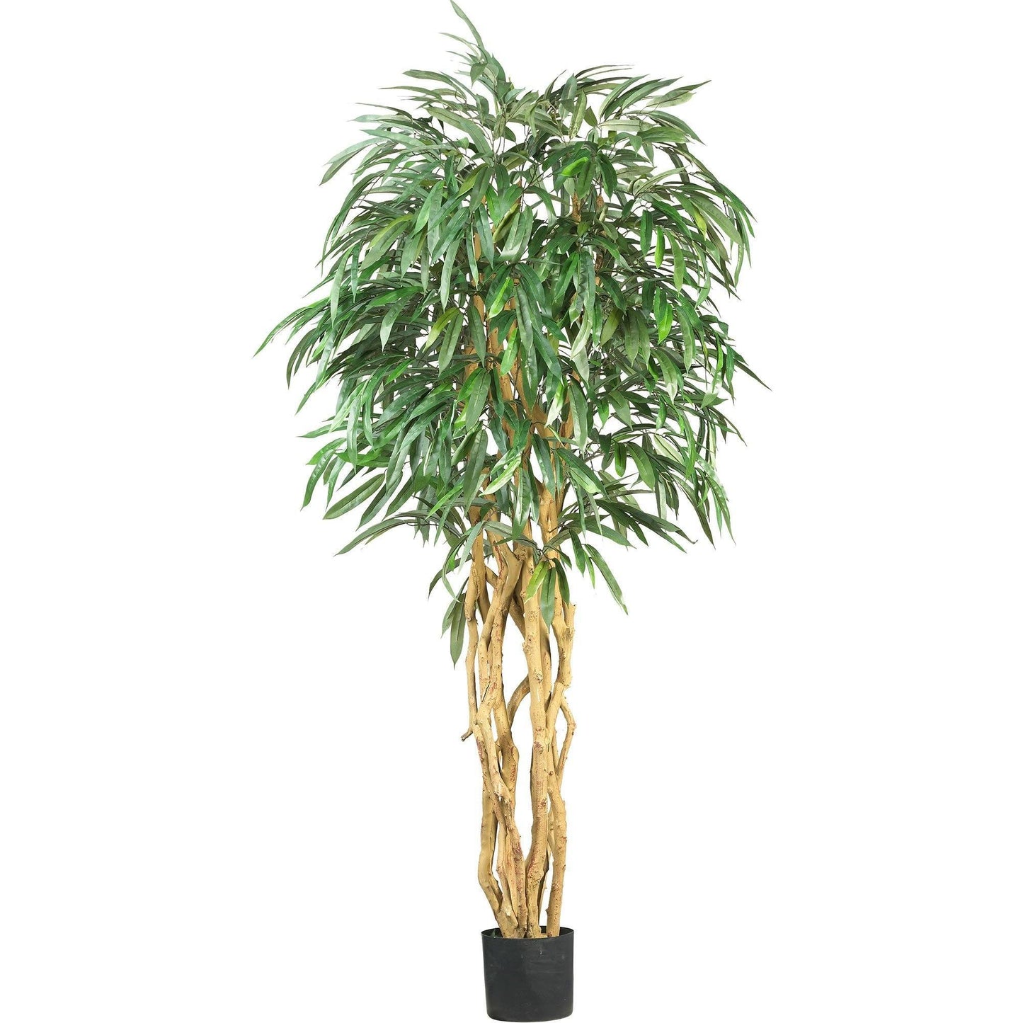 6' Weeping Ficus Silk Tree Nearly Natural with braided trunk and lush leaves in a black pot on Tampa Home & Garden Store