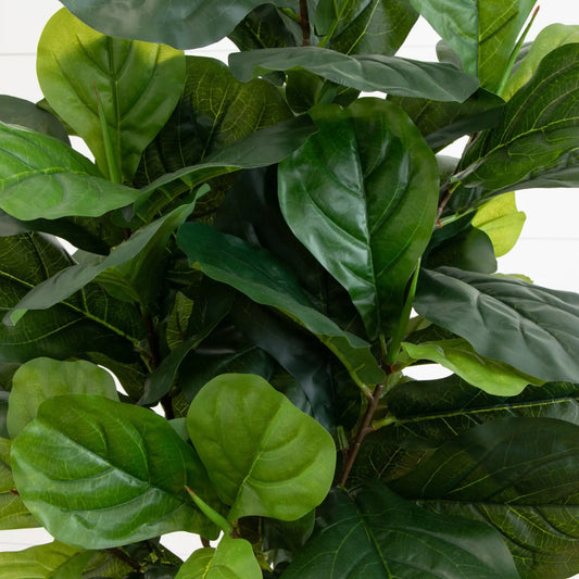 64 inch fiddle leaf artificial tree with real touch leaves Nearly Natural green foliage on Tampa Home & Garden Store