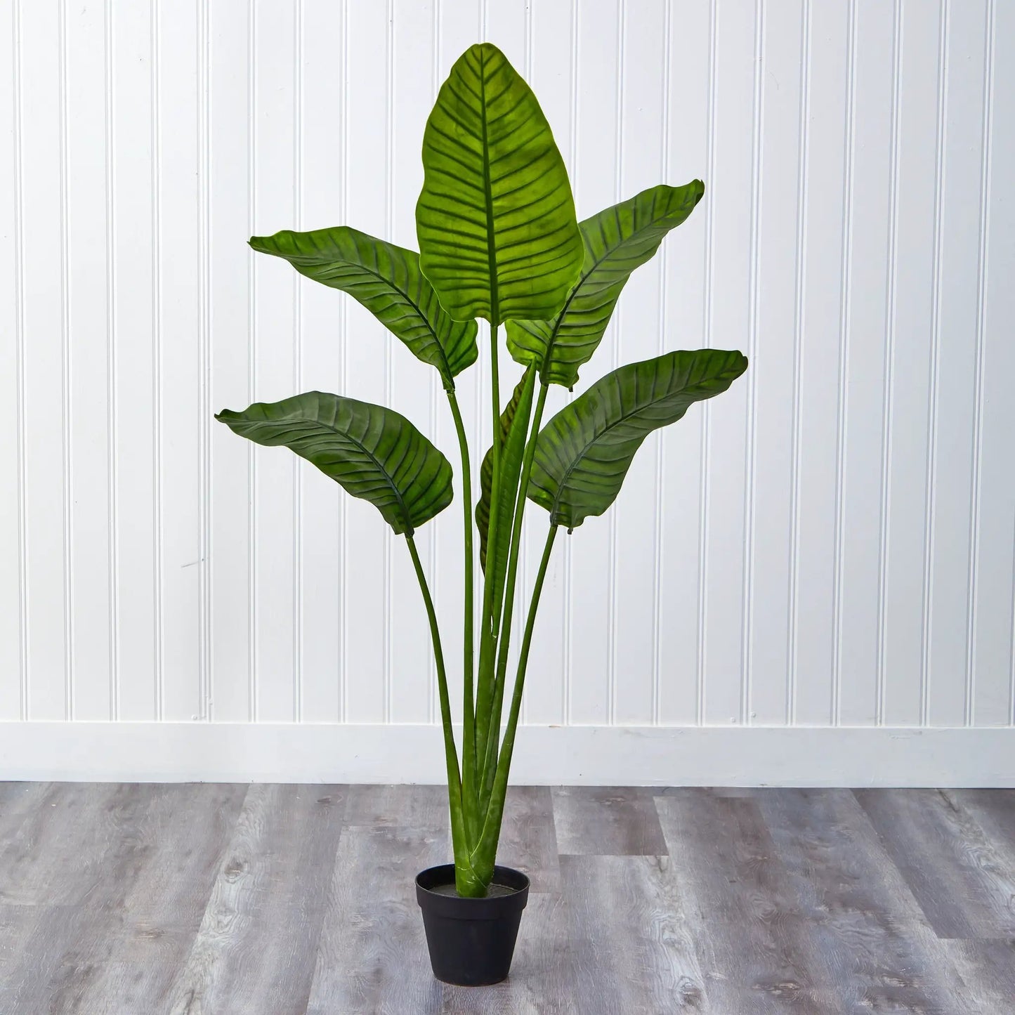 Travelers Palm Tree UV Resistant artificial plant in black pot with green leaves by Nearly Natural on Tampa Home & Garden Store