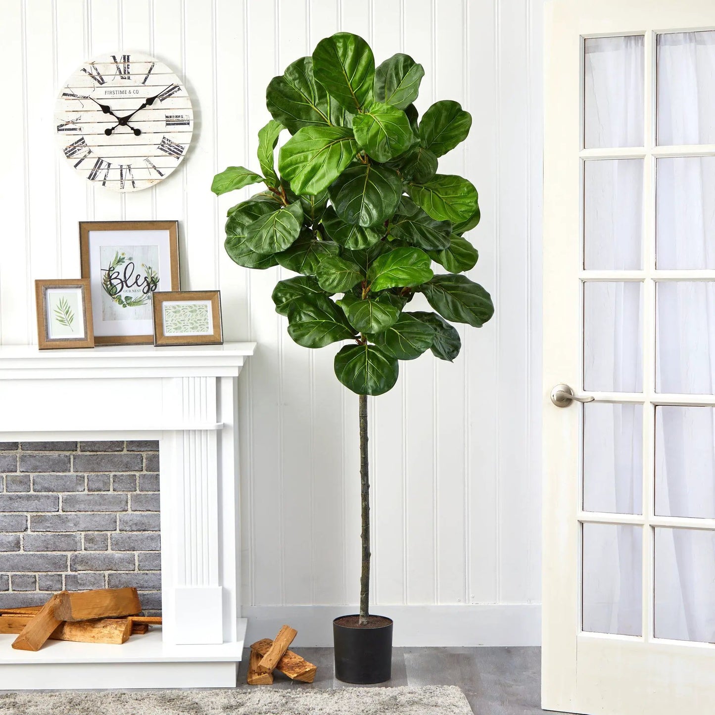 6.5 ft fiddle leaf artificial tree with glossy green leaves in a black pot indoors on Tampa Home & Garden Store