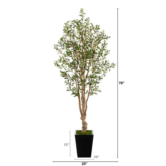 - image on Tampa Home & Garden Store