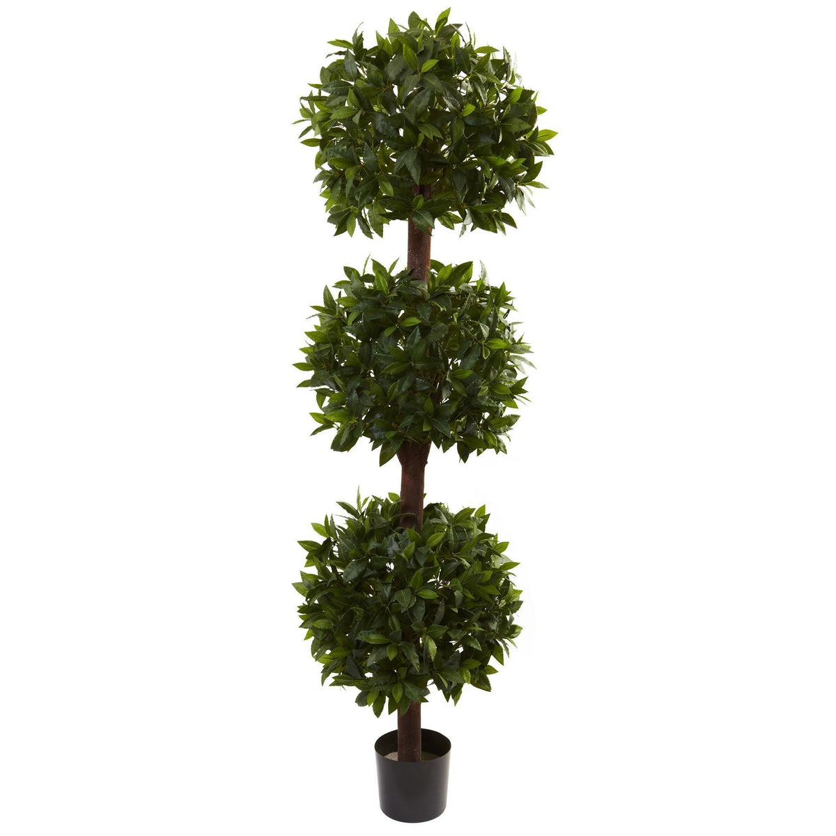 6.5’ Sweet Bay Triple Ball Topiary by Nearly Natural in black pot with glossy green leaves on Tampa Home & Garden Store