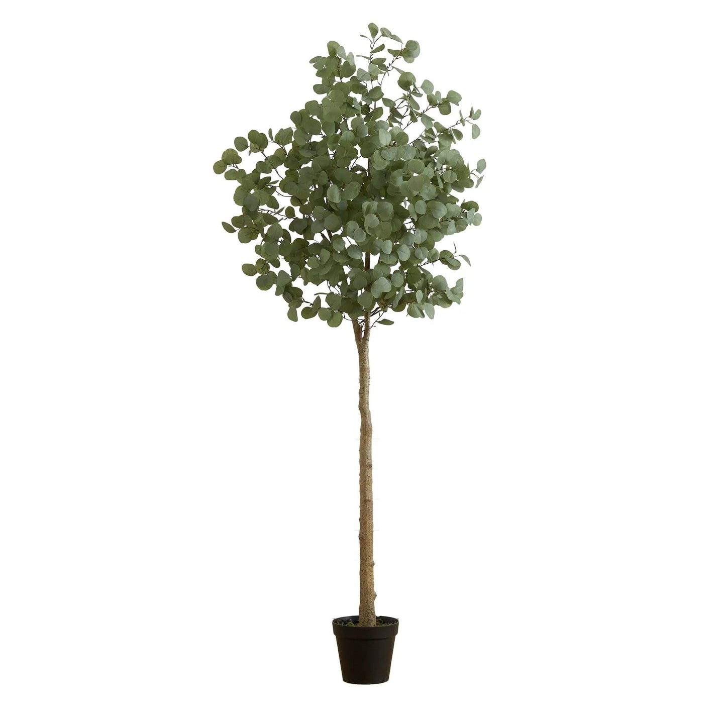 7 ft Nearly Natural lifelike artificial eucalyptus tree in a black planter on Tampa Home & Garden Store