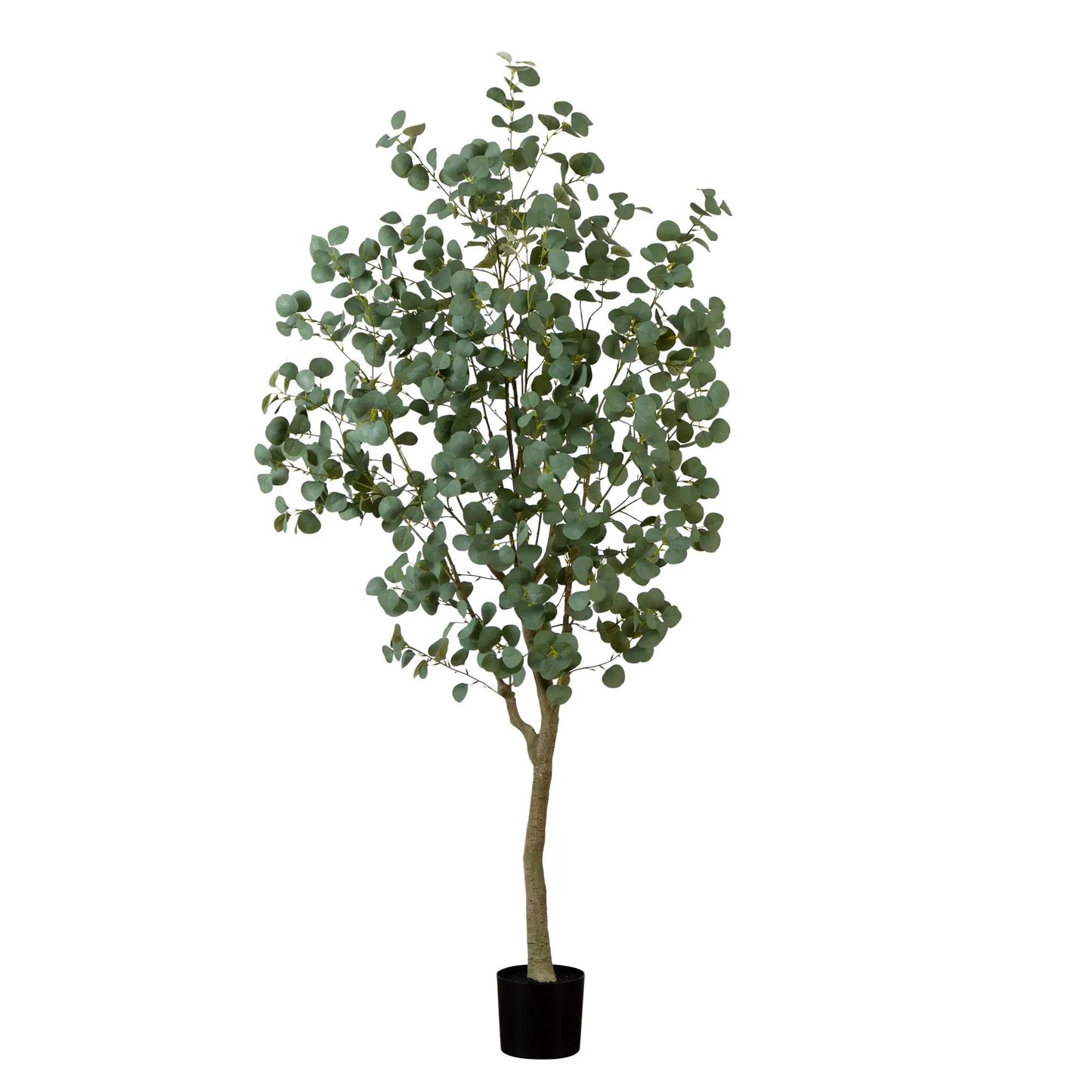 Greco Eucalyptus Tree 7ft artificial Nearly Natural round blue-green leaves in black pot on Tampa Home & Garden Store