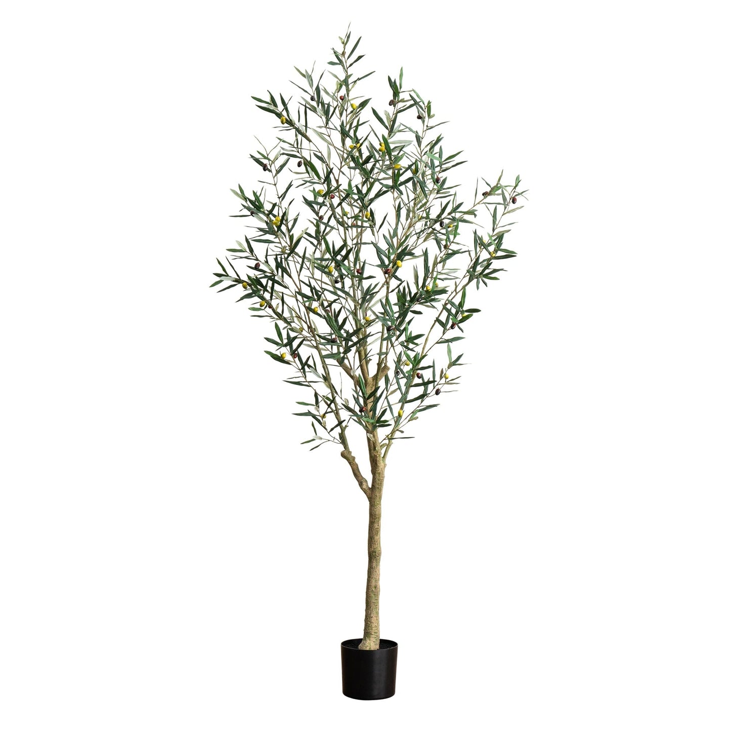Artificial Greco Olive Tree And A Solid Base