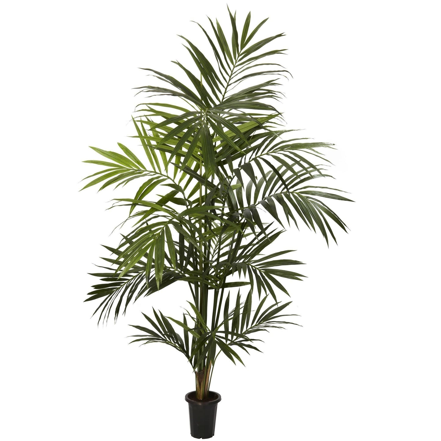 7' Artificial Kentia Palm Silk Tree by Nearly Natural in black planter with lush green fronds on Tampa Home & Garden Store