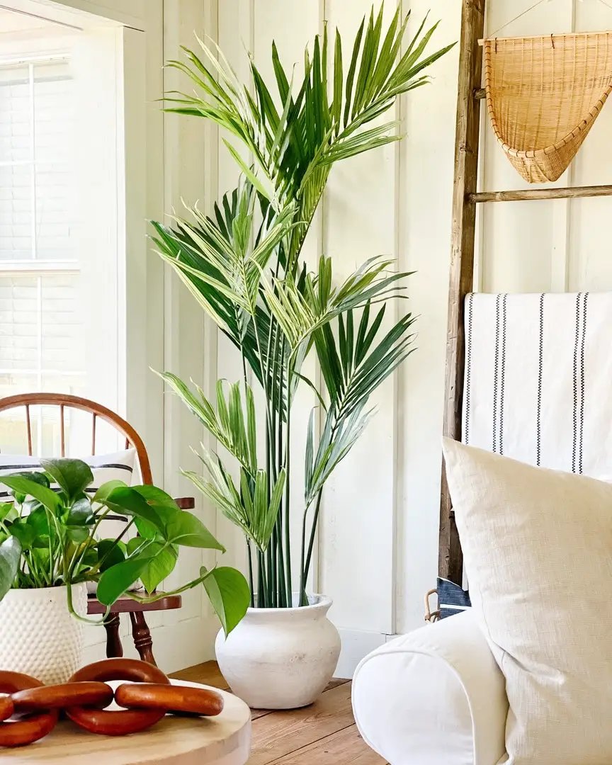 7 ft Nearly Natural Kentia Palm Silk Tree in white pot with lush green leaves on Tampa Home & Garden Store