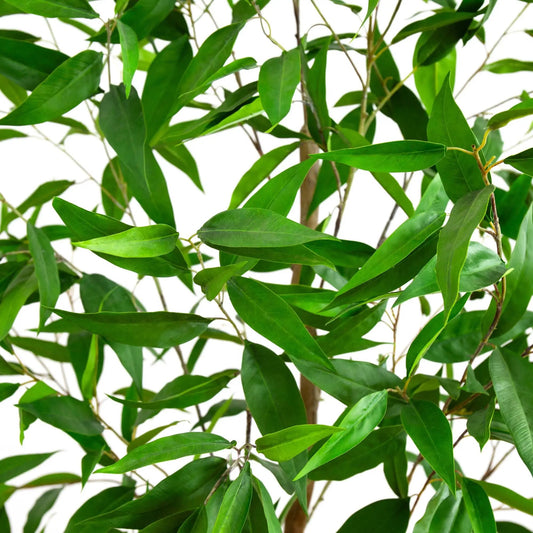 Nearly Natural 7 ft Greco Eucalyptus artificial tree with long slender leaves on Tampa Home & Garden Store