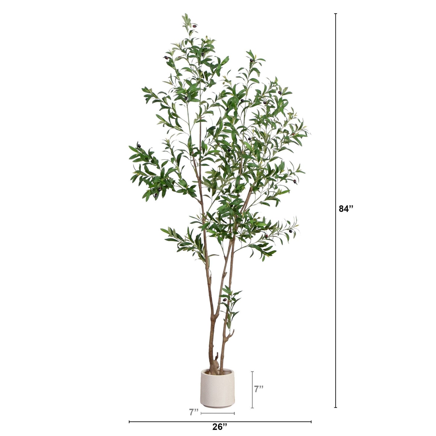 A Minimalist Olive Tree in White Decorative Planter