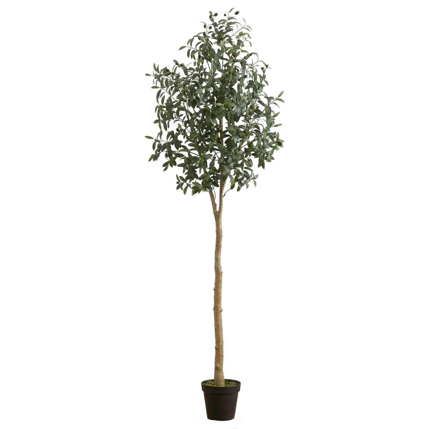 7-Foot artificial olive tree with dark-green leaves and brown trunk in black pot Nearly Natural on Tampa Home & Garden Store