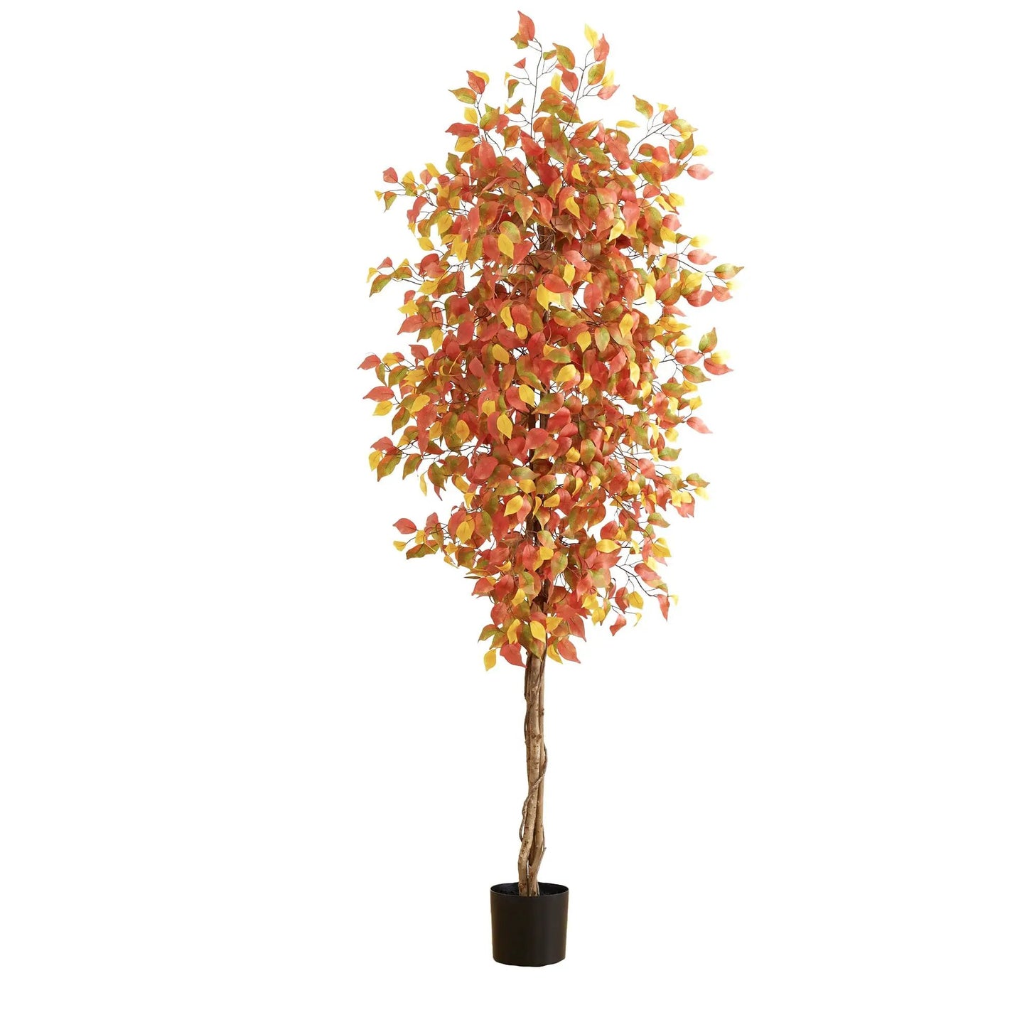 Nearly Natural Autumn Ficus Artificial Tree 7 ft tall with multicolored fall leaves in black pot on Tampa Home & Garden Store