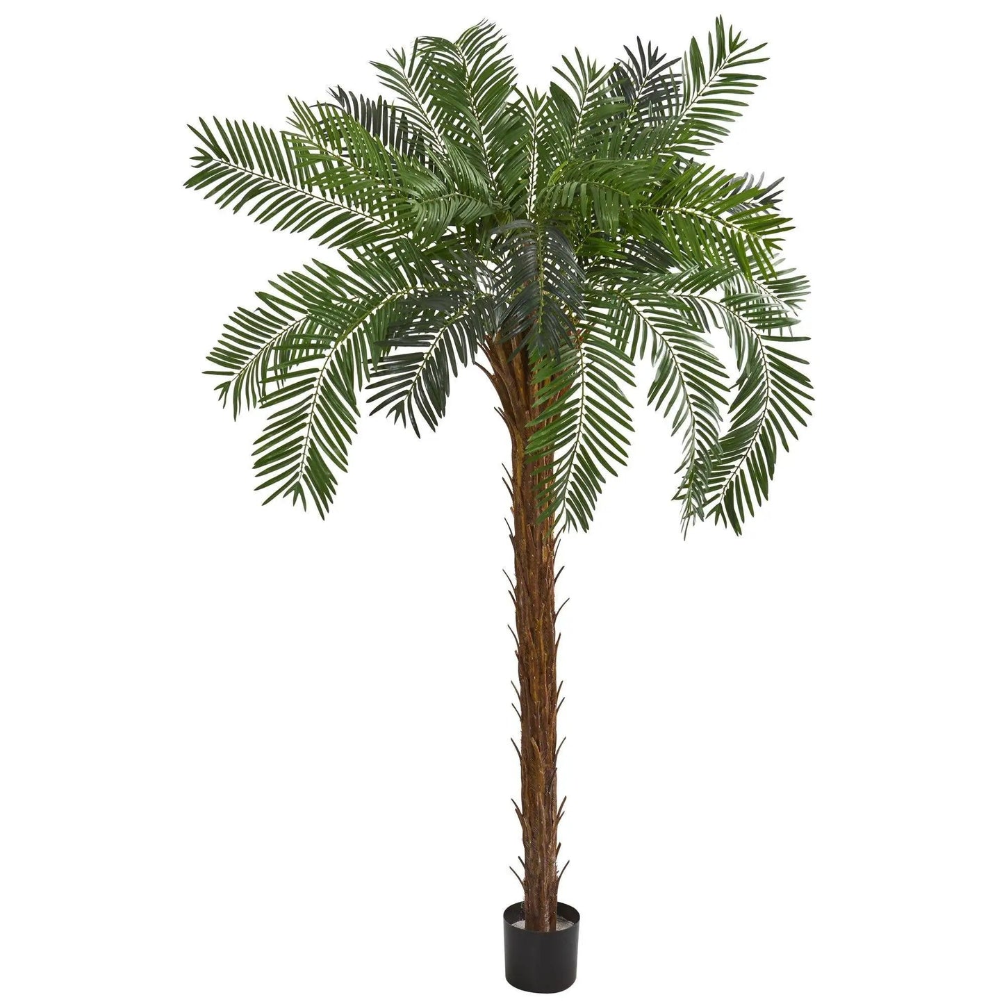 Seven Foot Cycas Palm Artificial Tree by Nearly Natural in black planter with lush green fronds on Tampa Home & Garden Store