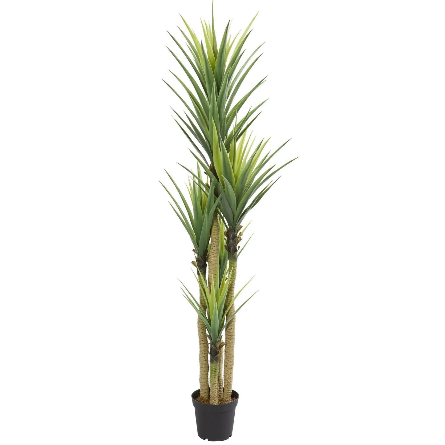 7 ft artificial Dracaena plant with green leaves and multiple trunks in a black pot on Tampa Home & Garden Store